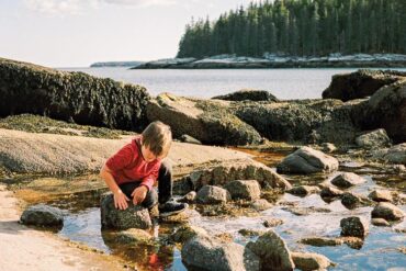 child looking into tidepool