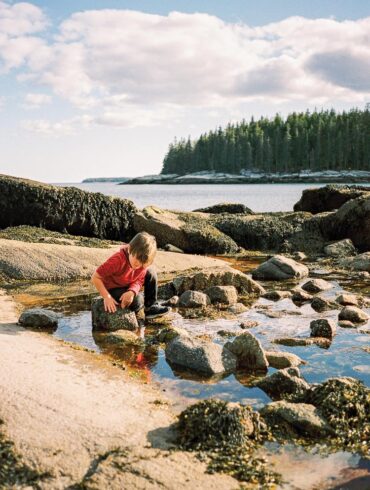 child looking into tidepool