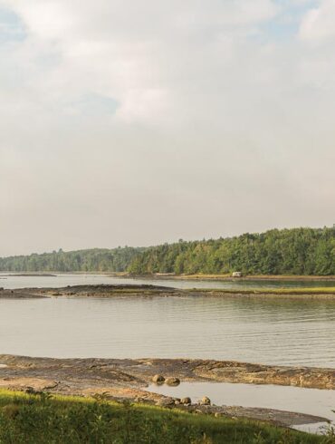 Morgan Bay, in Surry, Maine
