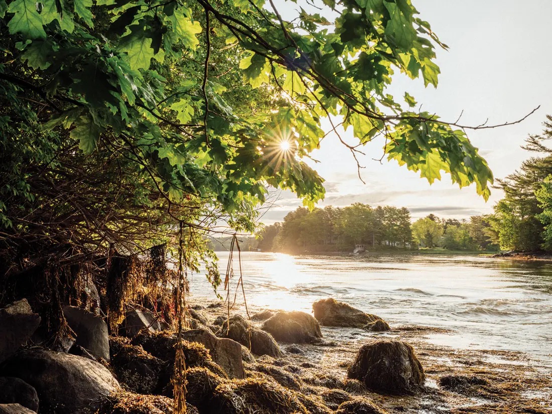 the Damariscotta River