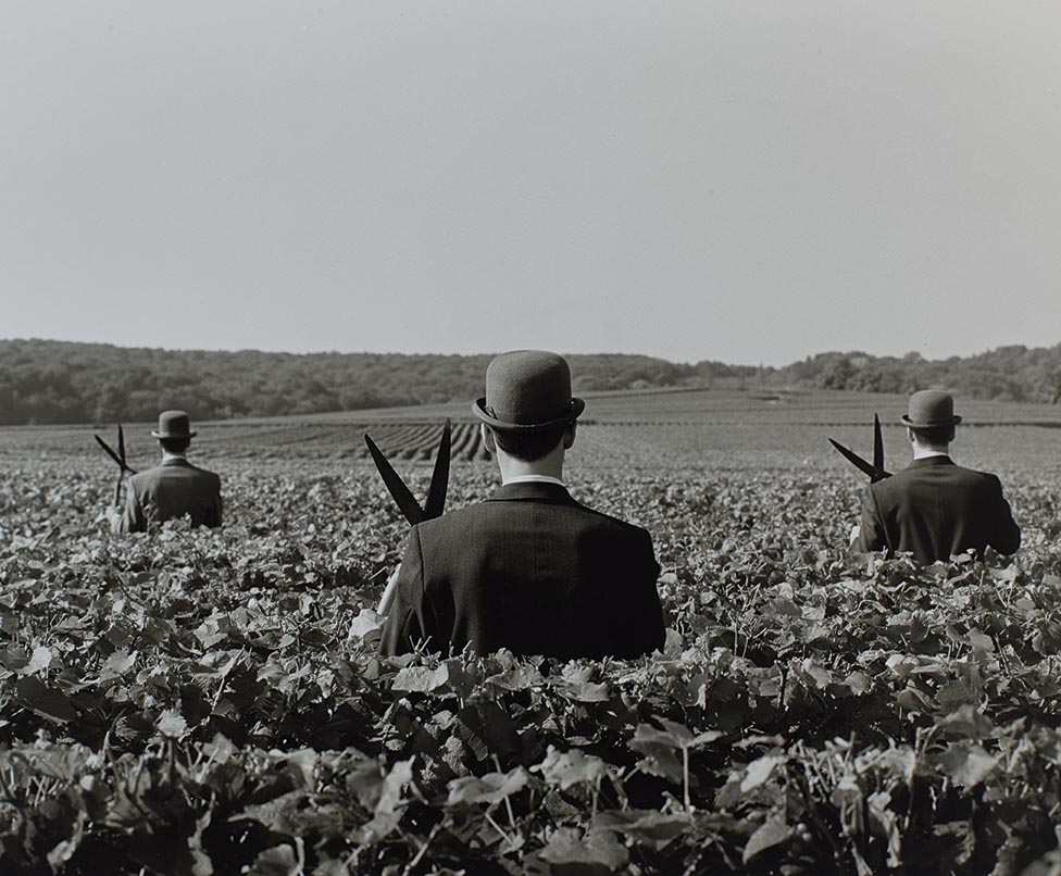 three men in a field wit scissors