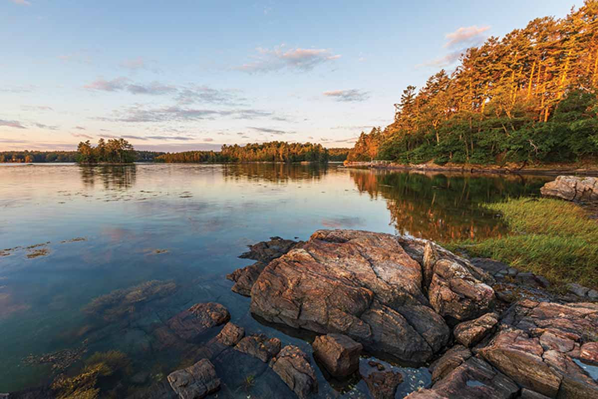 Where to Find Enchanting Forest Preserves on the Maine Coast  Down 