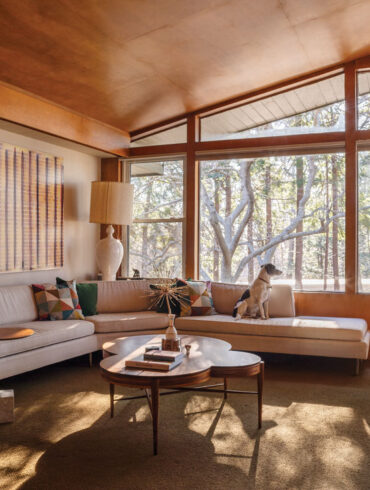 Pup Arlo soaks up passive-solar heat on a living-room sectional