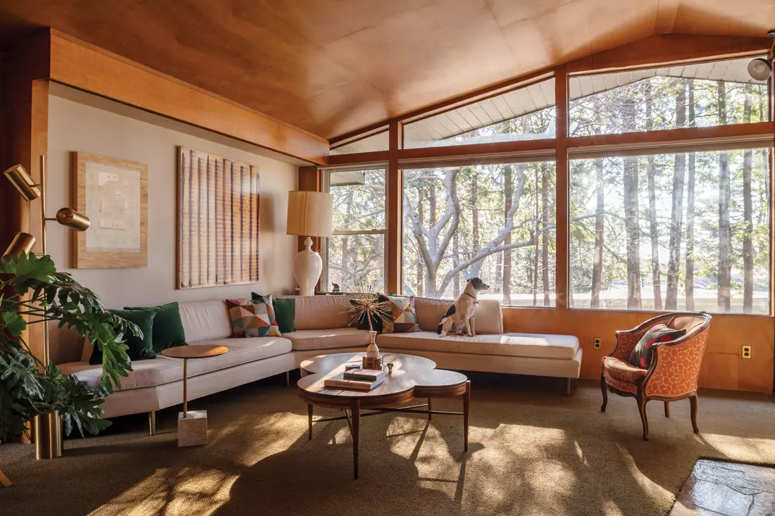Pup Arlo soaks up passive-solar heat on a living-room sectional