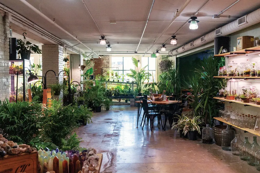 Terrarium in Portland, Maine