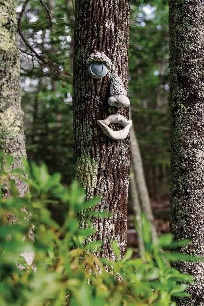 a tree with prosthetic face