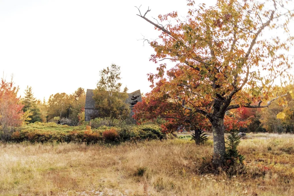 a dilapidated barn in Brooklin