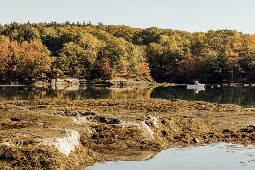 low tide with lobsterboat at Castine’s Starr and Virginia Lampson Preserve, stewarded by Maine Coast Heritage Trust, on the banks of the Bagaduce River.