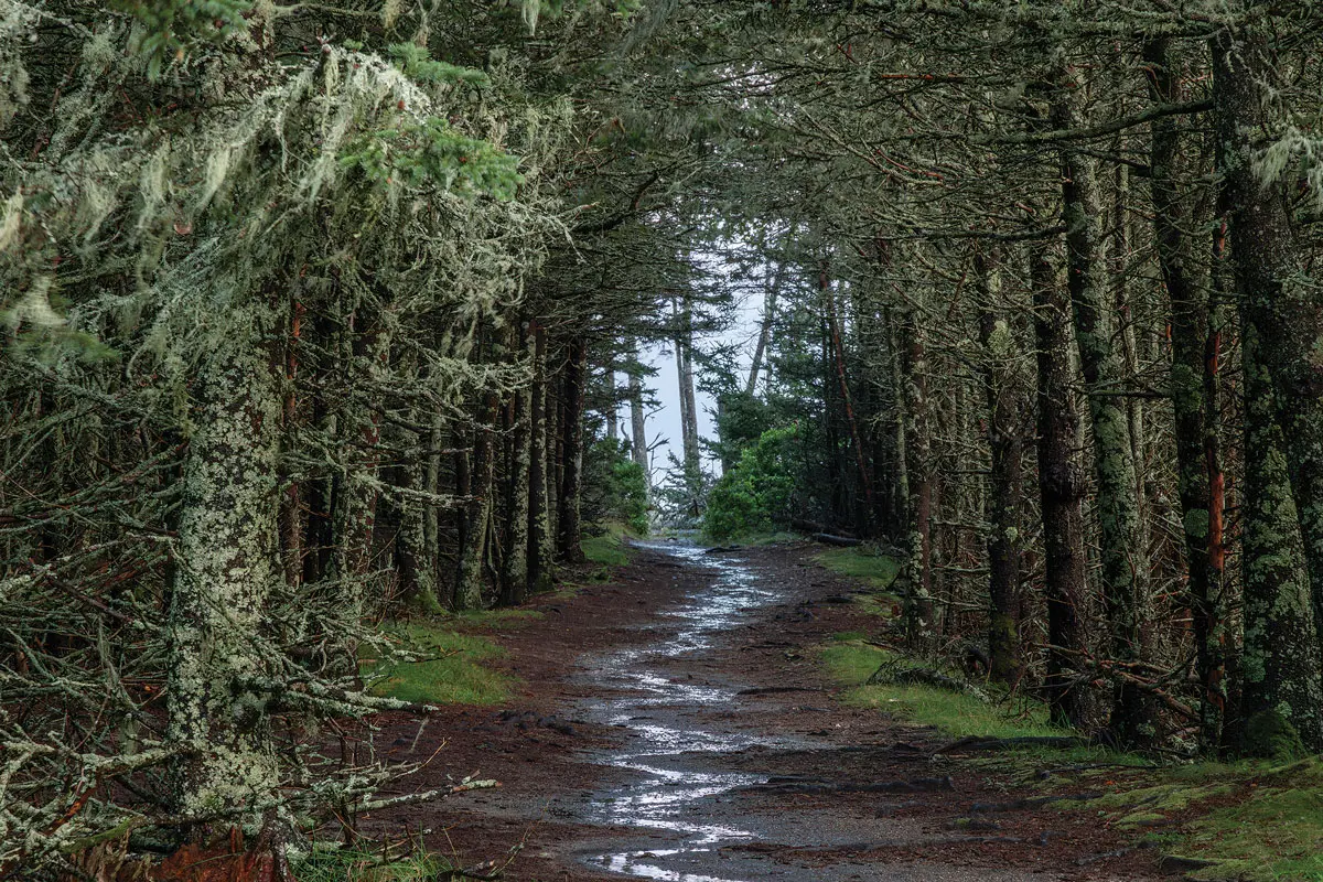 Wonderland Trail, Acadia National Park