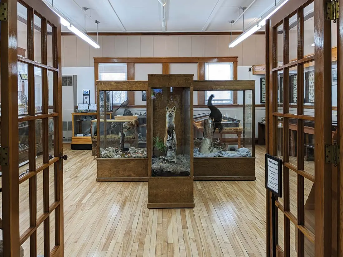 exhibition cases a the Nylander Museum of Natural History