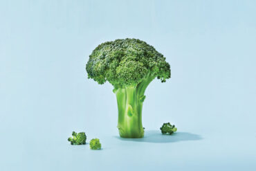 broccoli floret