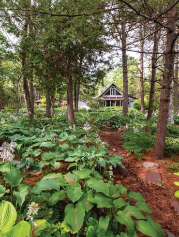 500 hosta varieties carpet the two-acre grove between the Schmidts’ house and the pond