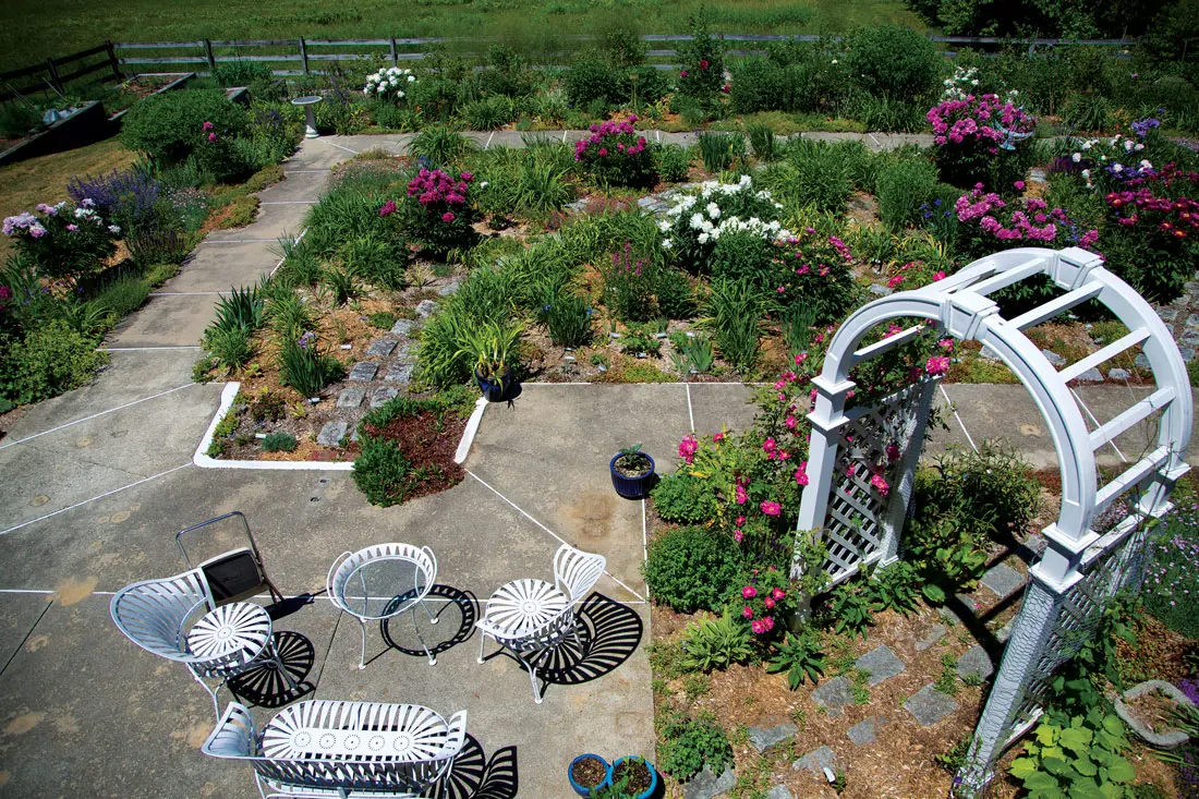 pool garden