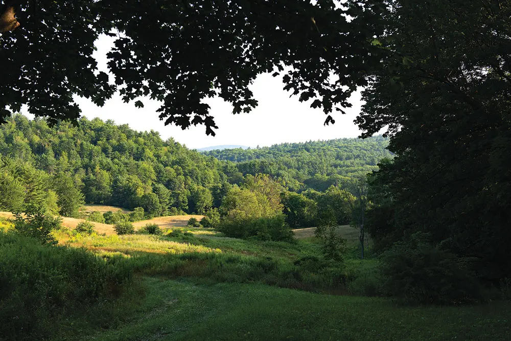 Buckfield Maine farm