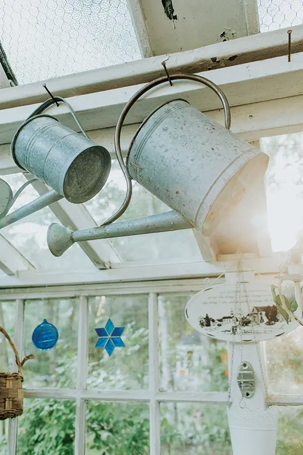 watering cans in the greenhouse