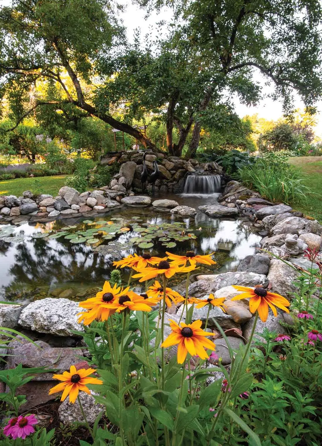black-eyed Susans, cardinal flowers, coneflowers, and great blue lobelias surround a rock-bound pond