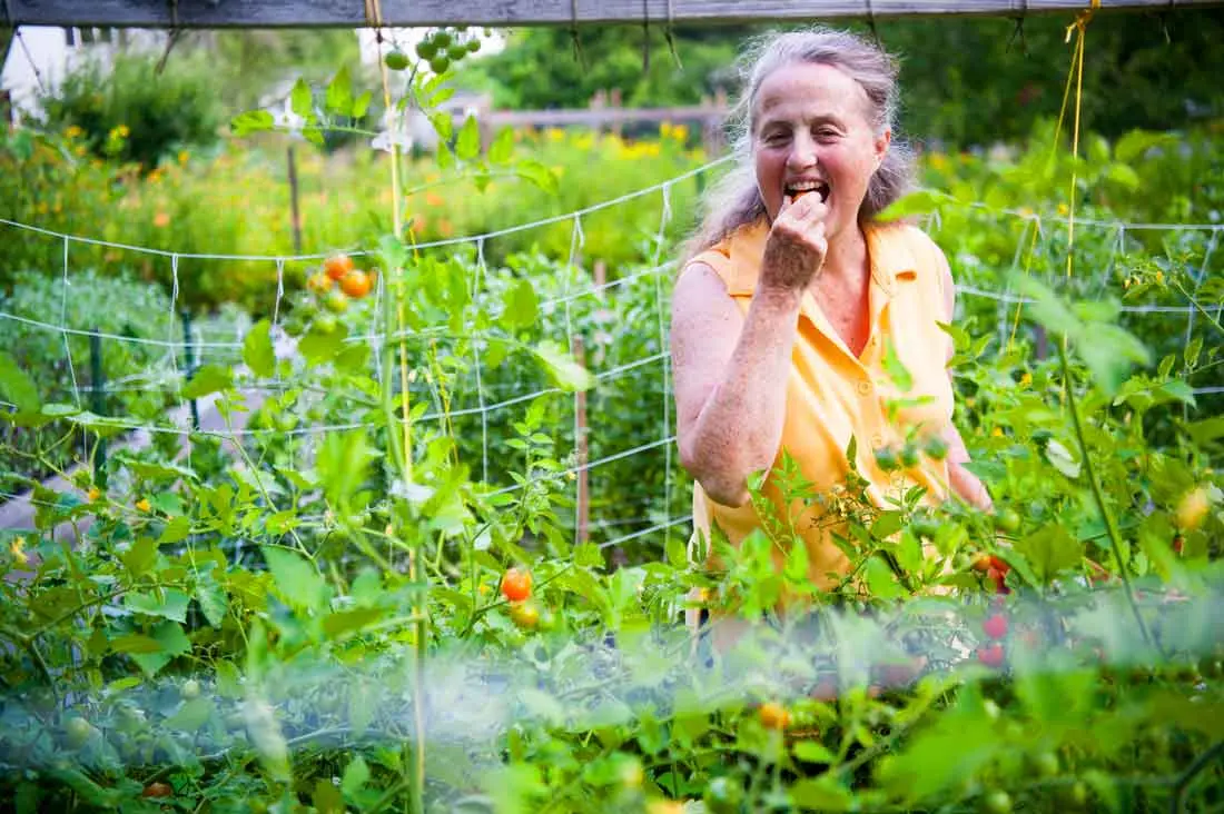 On the single-acre Ellsworth property Mary Blackstone’s family has nurtured for 80 years, scallions and cherry tomatoes thrive in giant raised beds.