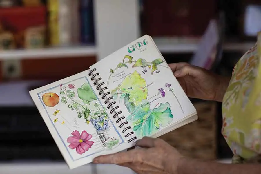 Katy Gannon-Janelle's watercolors