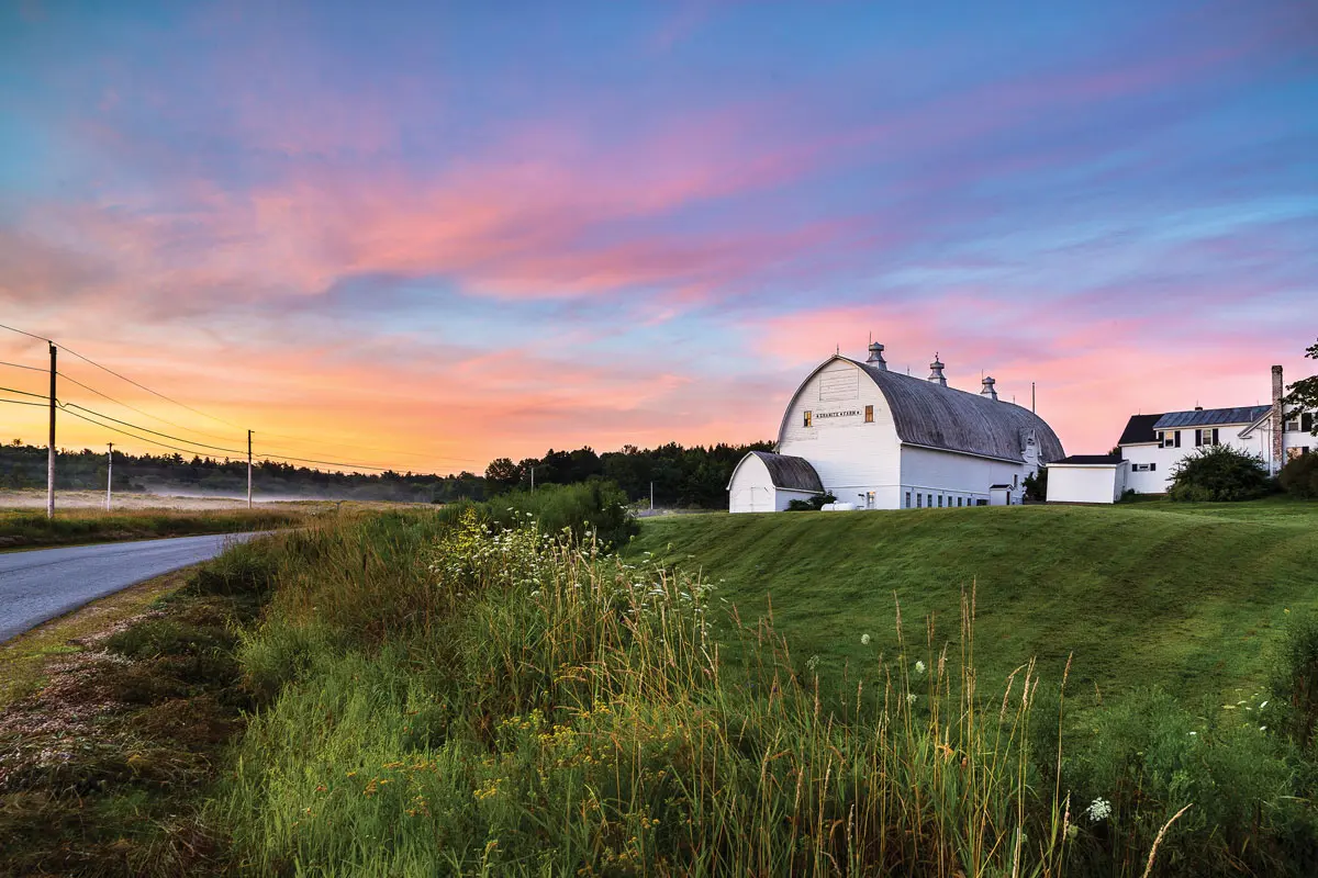You and She Could Write an Ag Romance Maine farmland