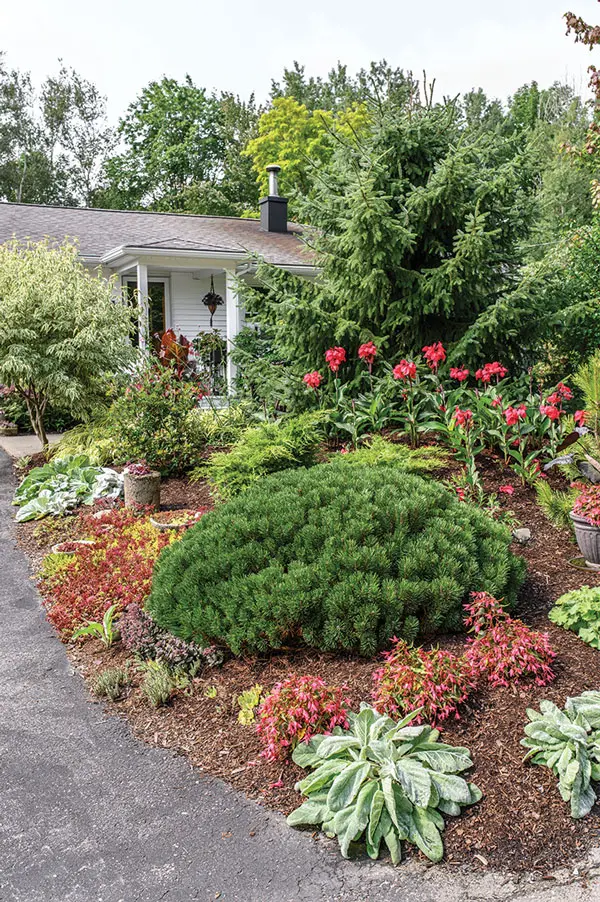 Lisa Colburn's front yard