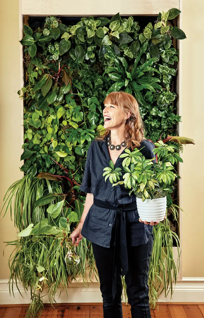 Fall2021_walls1 A seven-foot-tall “living wall” of philodendrons, ferns, pothos, and spider plants dominates the Brunswick living room of plant designer Cheryl Tyler