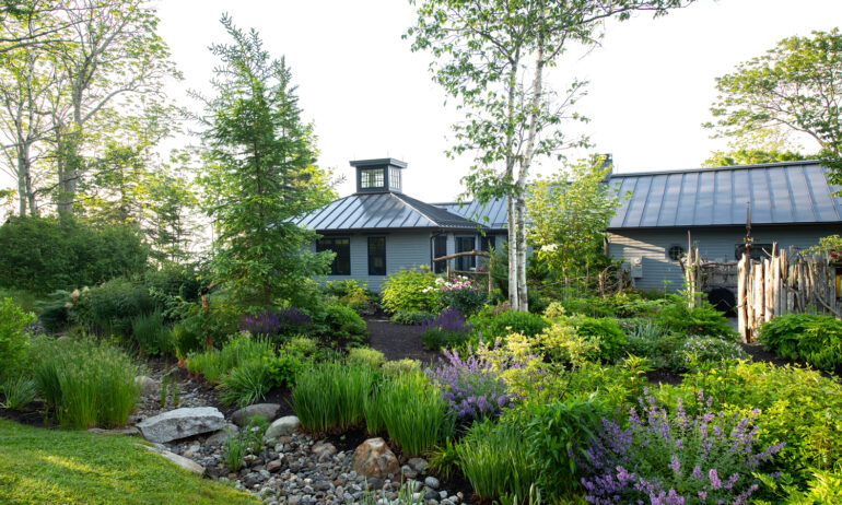 Plantings are common, deer-resistant varieties, like catmint, salvia, and bearded iris.