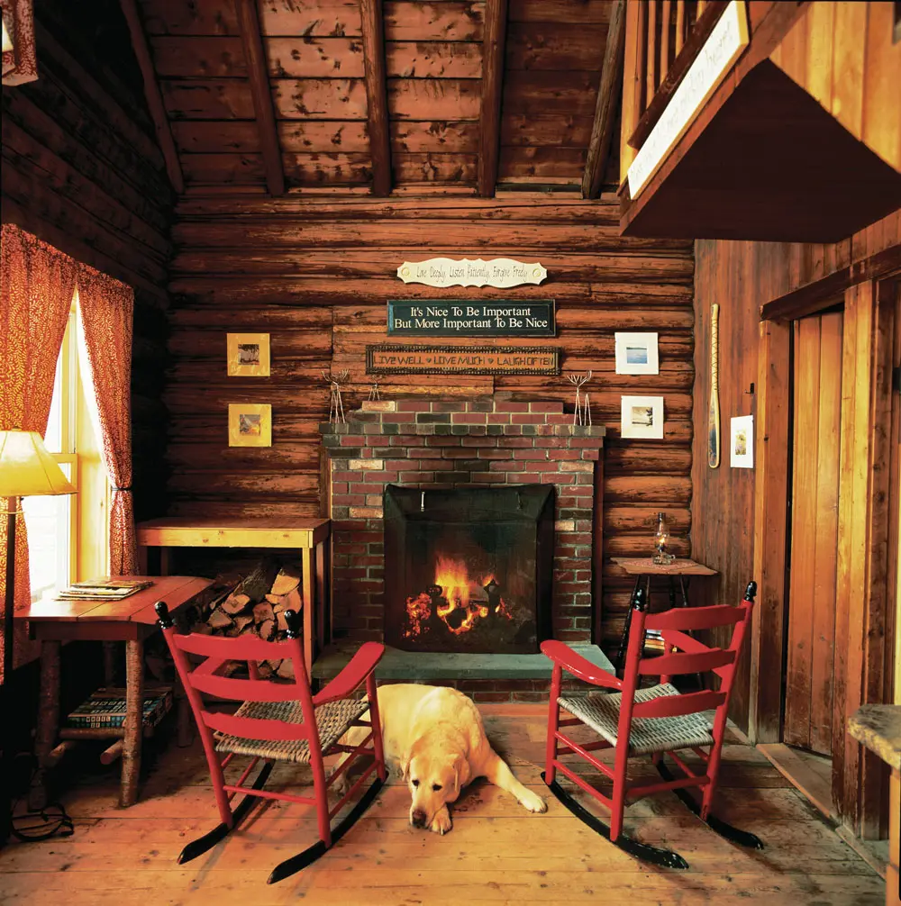 dog sleeping by fireplace