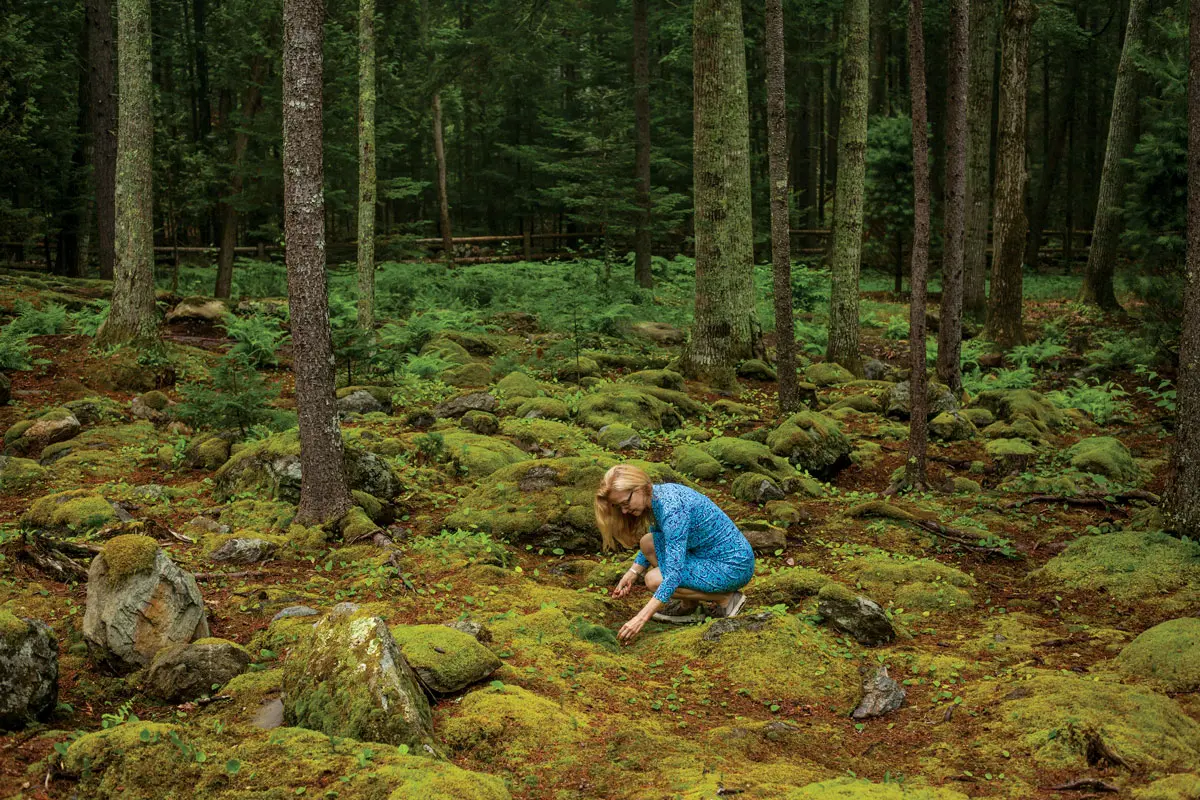 moss garden