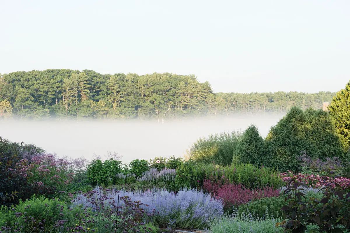 Pondfield, David and Barbara Chase’s garden on York’s Barrell Mill Pond, designed by Jacquelyn Nooney