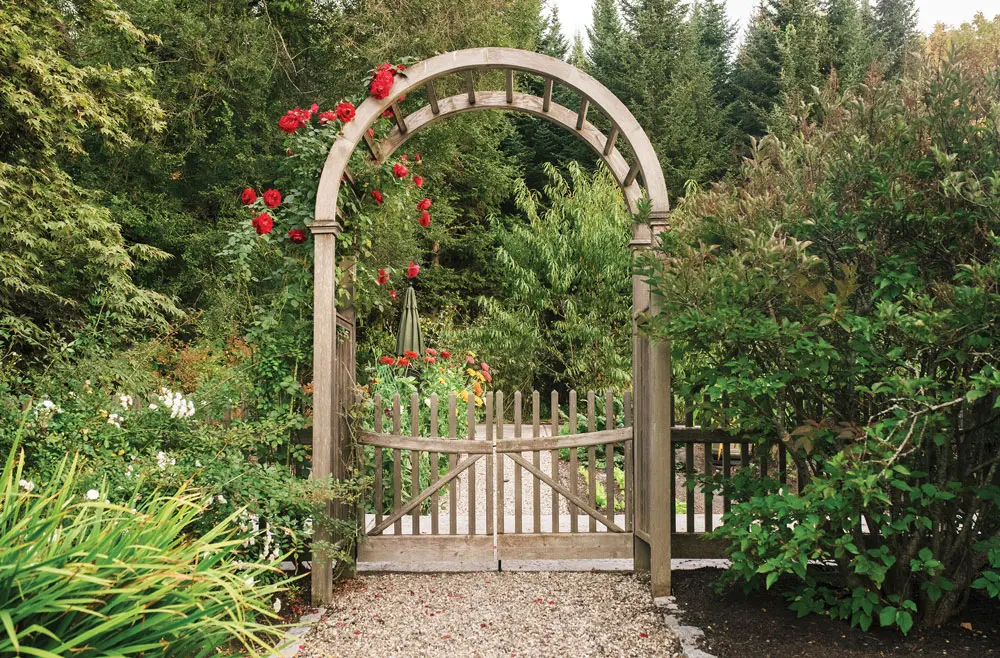an arbor draped with Ramblin’ Red roses leads to a vegetable garden cultivated in a filled-in swimming pool