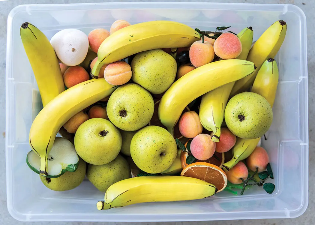 bucket of fruit