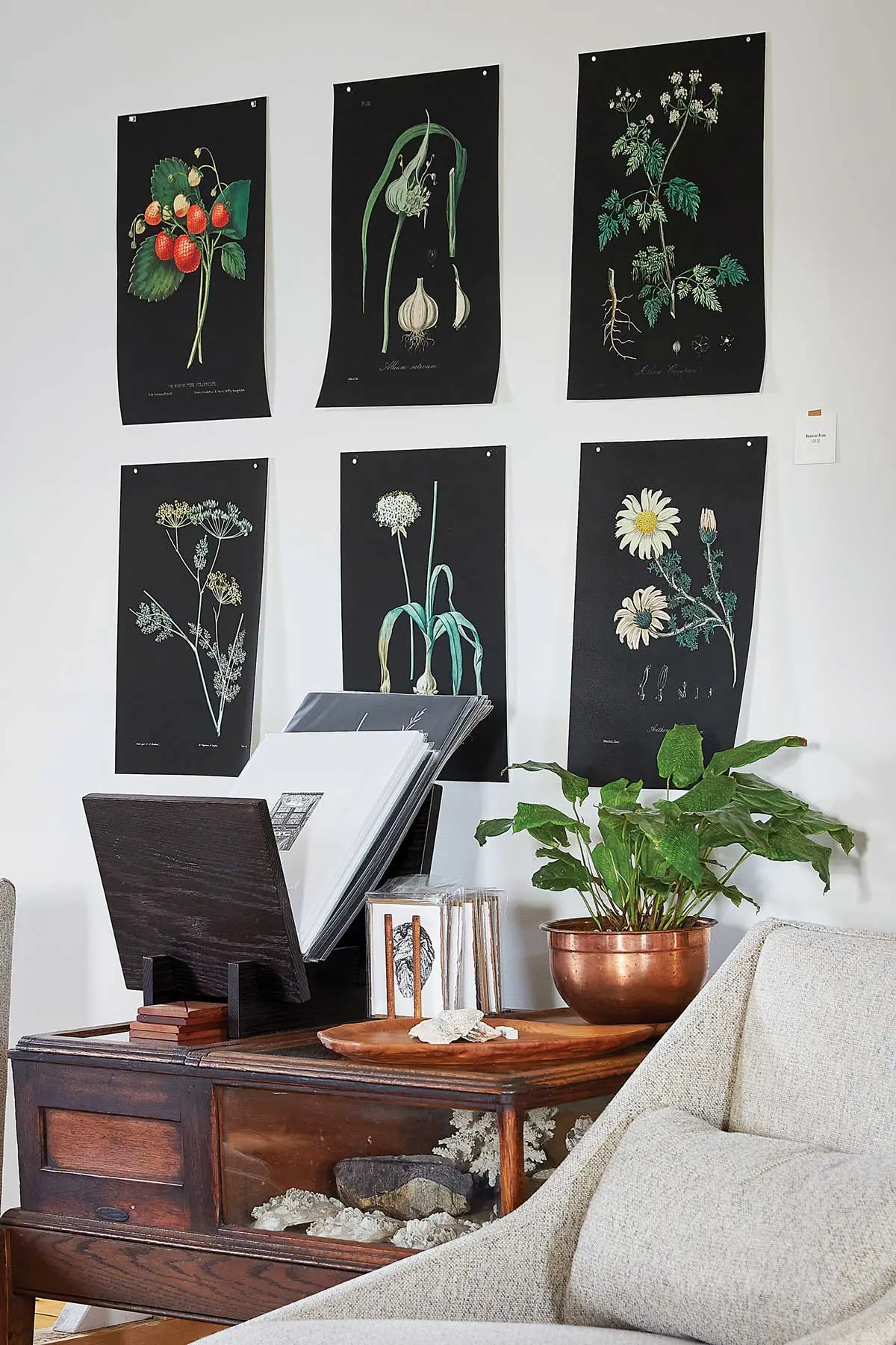 Works for sale include prints of vintage illustrations from Sampson’s company, Paper Tides.