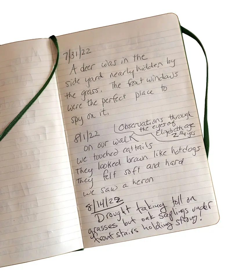 Come Stay with Us! Fuller Googins records flora and fauna sightings in a “Naturalist’s Journal”
