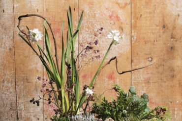 forced bulb floral arrangement