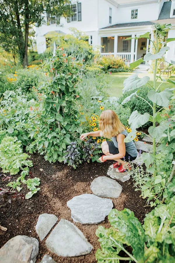 Stepping stones offer a convenient path to herbs and leafy green vegetables interplanted with perennials and annuals.