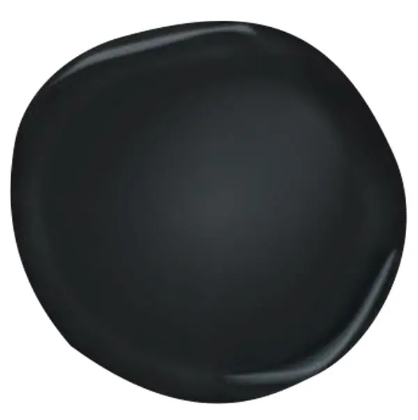 meet_color Sherwin-Williams Tricorn Black