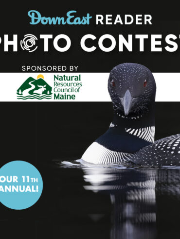 11th Annual Down East Reader Photo Contest