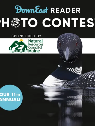 11th Annual Down East Reader Photo Contest