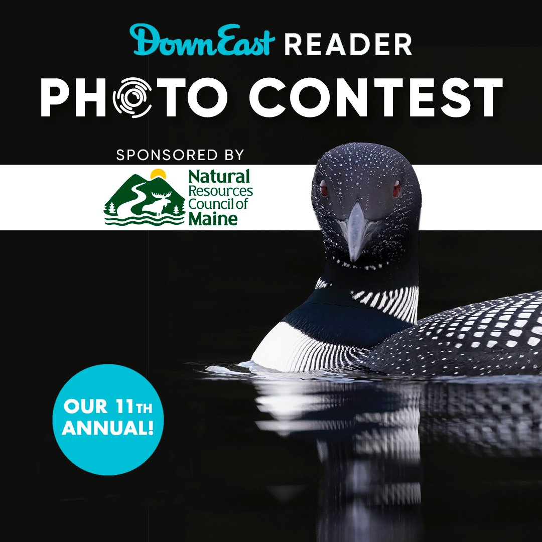 11th Annual Down East Reader Photo Contest