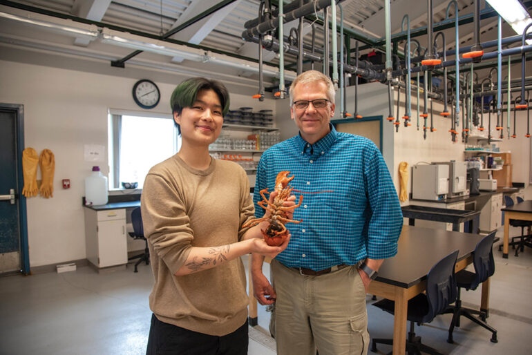 UNE researchers Ruby Motulsky and Markus Frederich who are leading the colorful lobster study