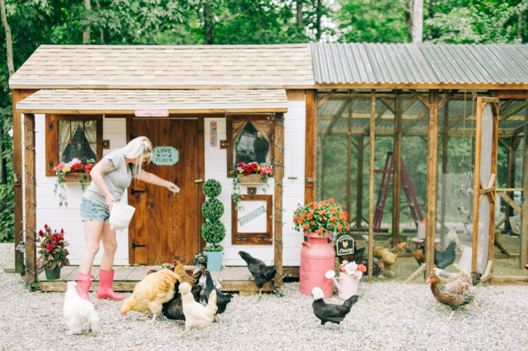 Jennica Harris feeds her chickens outside the "fluffy butt hut"