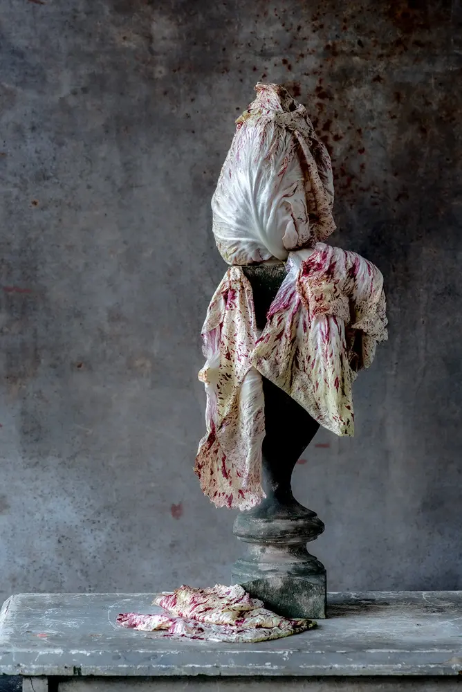 "Radicchio Disrobing," by Lynn Karlin