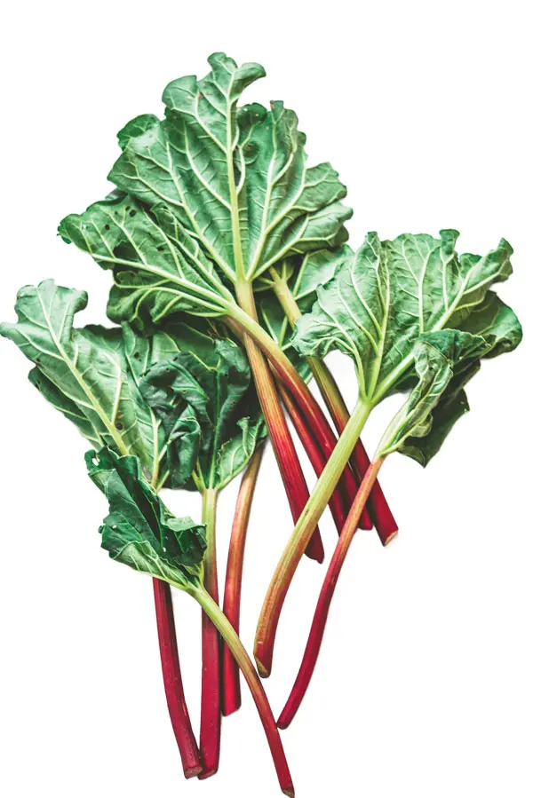 Rhubarb