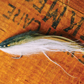 a Ben Whalley fly that imitates a herring, for targeting stripers.