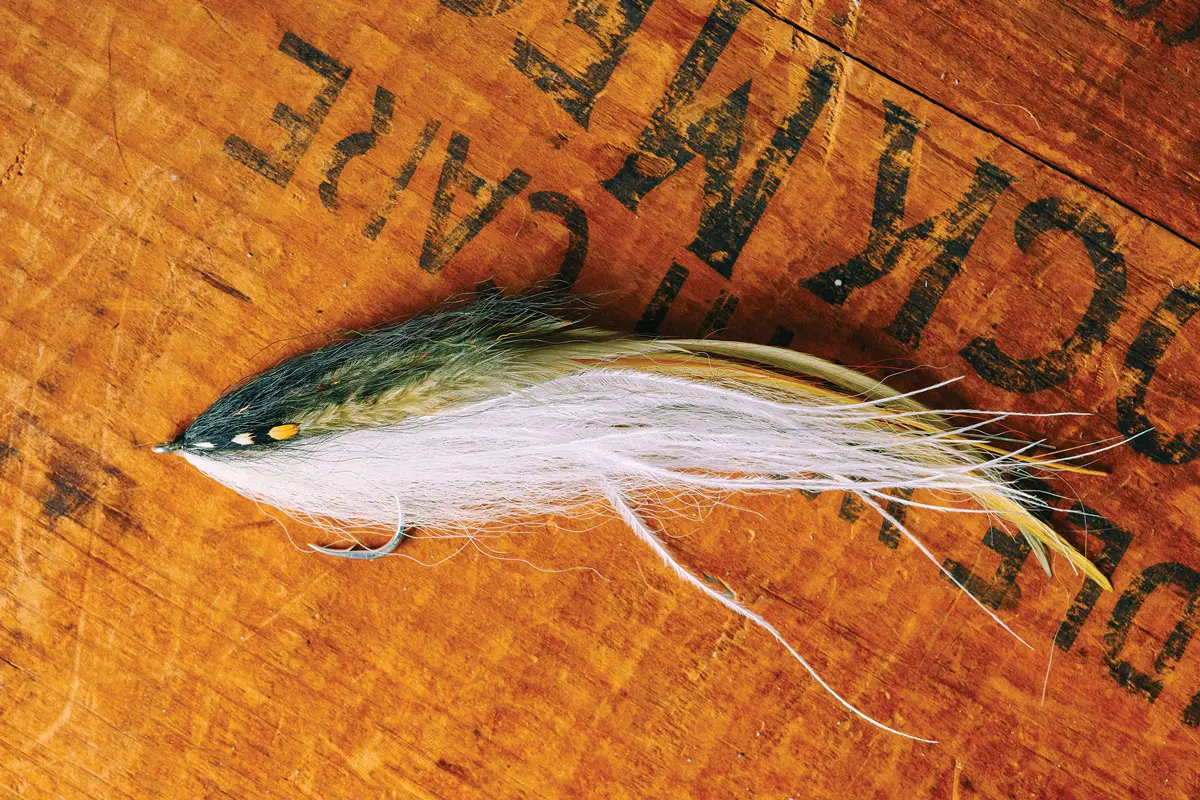 a Ben Whalley fly that imitates a herring, for targeting stripers.