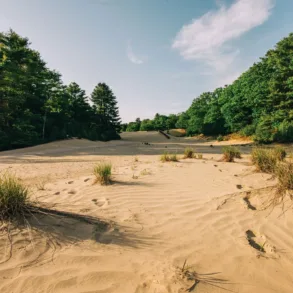 August 2025 Where in Maine? photo clue