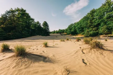 August 2025 Where in Maine? photo clue