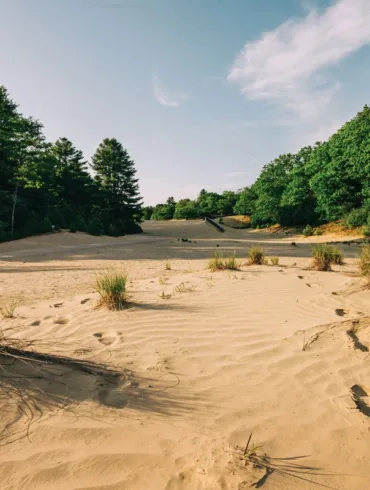 August 2025 Where in Maine? photo clue