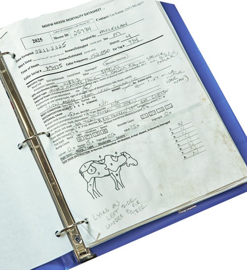MDIFW Moose Mortality Datasheet