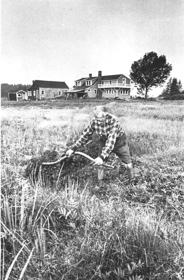 Scott Nearing cutting hay with a scythe